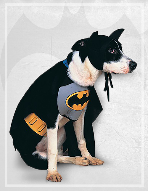 Batman Dog Costume Batman Dog Costume