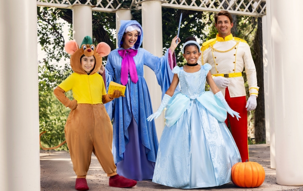 Cinderella Costumes Cinderella Costumes