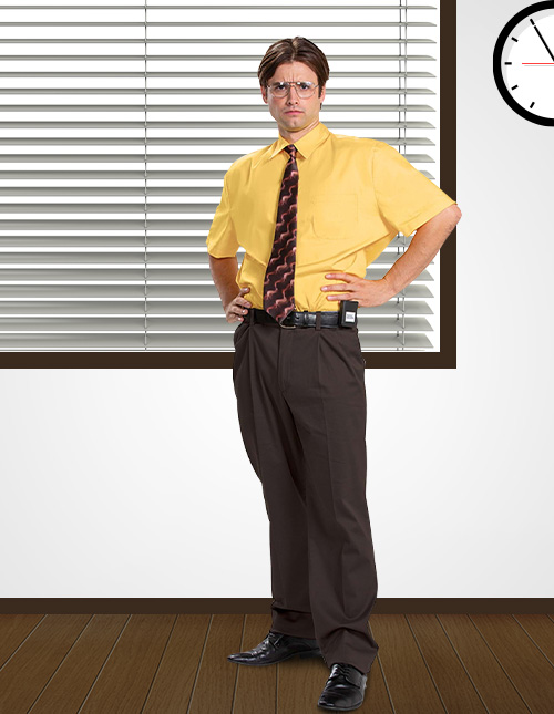 Dwight Schrute Costume Dwight Schrute Costume